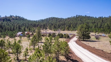 Lot H Cold Spring Trail, Custer, SD 57730 - photo 5