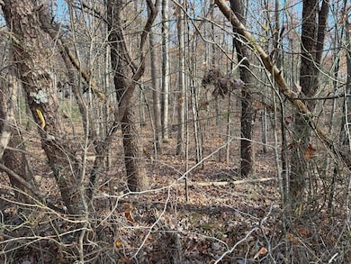 Lot 39 Hummingbird Way, Newport, TN 37821 - photo 2