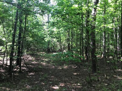 33.8 Ac Clay Hill Rd, Lincolnton, GA 30817 - photo 2