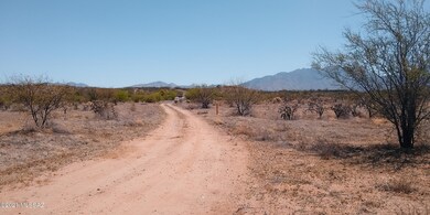 Lot46-3