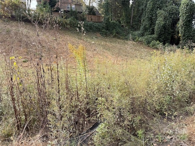 119, 123, 127 Randolph Ave, Black Mountain, NC 28711 - photo 3