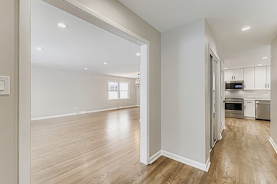 303 S Fernandez Ave, Arlington Heights, IL 60005 - photo 4