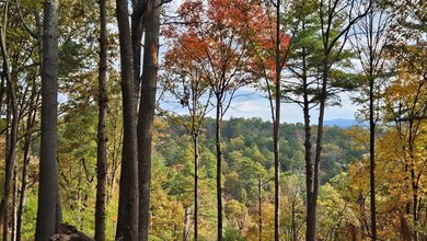 Lot 157 Roaring Forks Ln, Ellijay, GA 30540 - photo 2