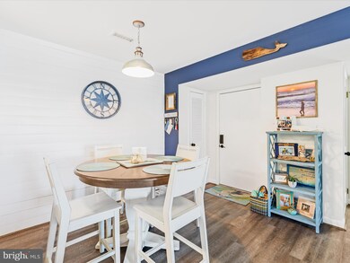202 N Heron Dr unit 9, Ocean City, MD 21842 - photo 6