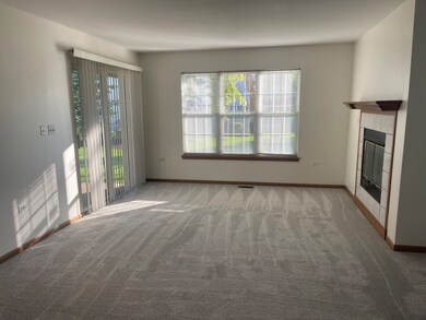 1679 Autumn Ave unit A, Schaumburg, IL 60193 - photo 4