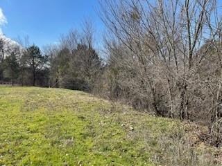 2105 County Road 4698, Boyd, TX 76023 - photo 4