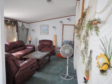 406 2nd St W, Steinhatchee, FL 32359 - photo 6