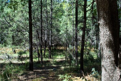 535 N Rim Trail