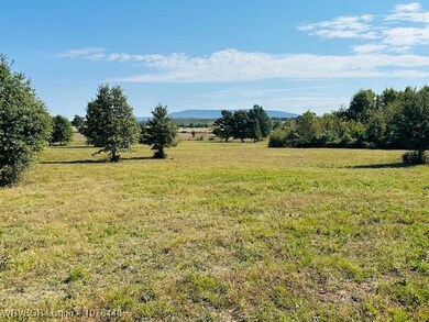 00 Latham Rd, Shady Point, OK 74956 - photo 5