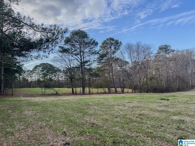 10450 Thermal Rd, Trafford, AL 35172 - photo 5