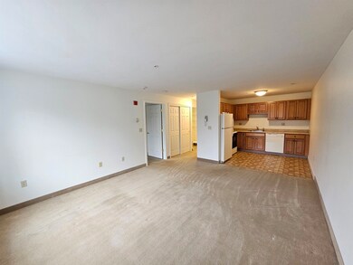 486 Nashua St unit 217, Milford, NH 03055 - photo 2