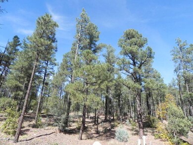 Lot 2 Pine Oaks 002