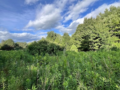 0 Greenbush Rd unit Held - 12 11557762, Erin, NY 14838 - photo 7