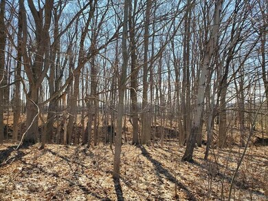 Ravine pictured is south boundary line