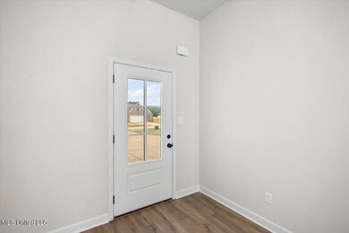 13824 Molly Madeline Ln, Olive Branch, MS 38654 - photo 6
