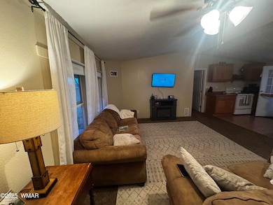 115 Foothills Blvd, Taylor, AZ 85939 - photo 5