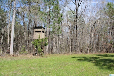 0 Danny Holmans Rd unit 21419252, Rockford, AL 35136 - photo 4