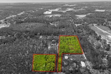 TBD Tropical Dr, Eustis, FL 32726 - photo 4