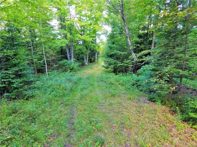 N15651 Woodduck Dr, Fifield, WI 54524 - photo 4