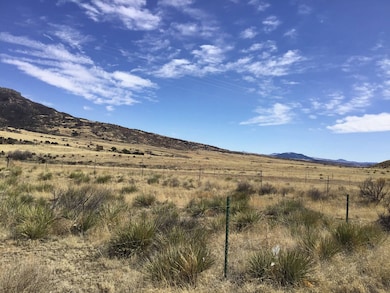 H/W 72 Cherokee Hills Rd unit LOT 4, Raton, NM 87740 - photo 5
