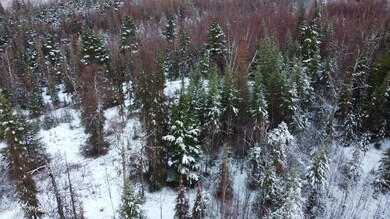 17881 Sterling Hwy, Cooper Landing, AK 99572 - photo 6