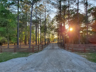 2033 White Buck Ct, Cleveland, TX 77328 - photo 2