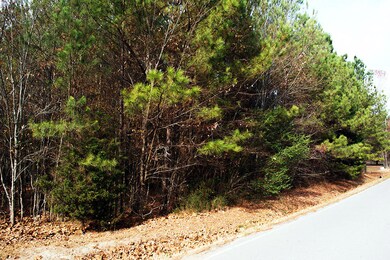 wendt property 3
