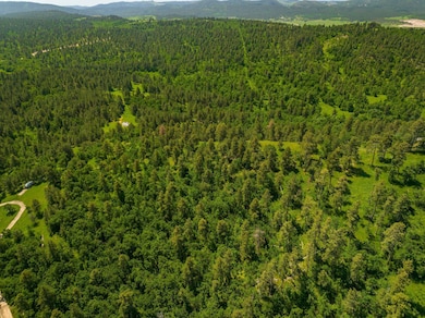 tbd Acorn Ridge Rd, Whitewood, SD 57783 - photo 6