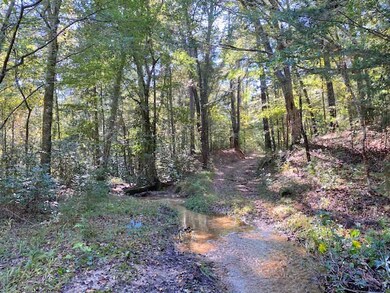 000 Kirklin Rd, Tylertown, MS 39667 - photo 4