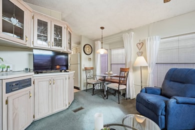 8700 E University Dr unit 810, Mesa, AZ 85207 - photo 4