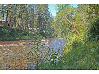 30703 NE Olson Rd, Yacolt, WA 98675 - photo 2