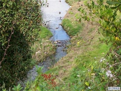 SEE THE DUCKS AT PLAY