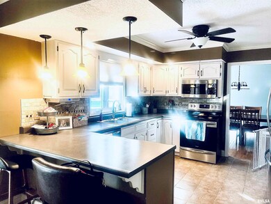 801 S Cottonwood St, Virginia, IL 62691 - photo 4