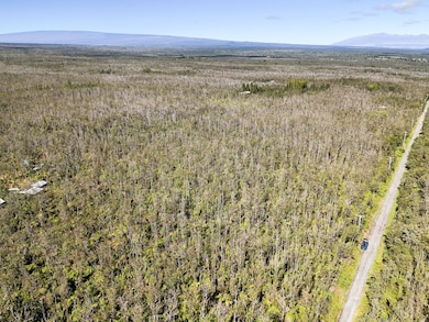 0 Uluhemalu Rd unit 25757387, Volcano, HI 96785 - photo 6