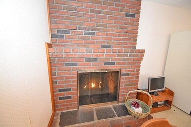 20 Vine St, Randolph, MA 02368 - photo 7