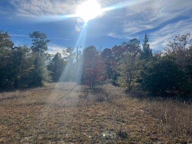 1563 Oakridge Rd, Gresham, SC 29546 - photo 2