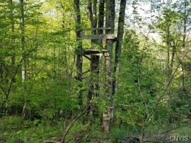 00 State Route 417, Greenwood, NY 14839 - photo 5