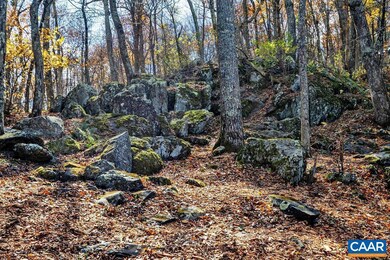 20 Buckhorn Ln, Roseland, VA 22967 - photo 6