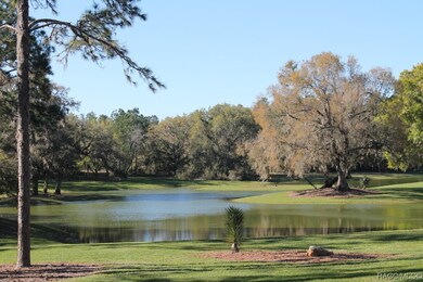 8833 N Spartan Dr, Citrus Springs, FL 34433 - photo 7