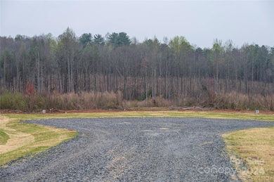 00 McCurry Farm Ln unit C2, Lincolnton, NC 28092 - photo 5