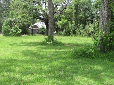 The lot is larger than you think.  Shrubs are larg