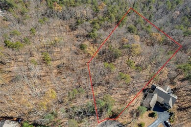 3356 Bee Balm Way, Big Canoe, GA 30148 - photo 7