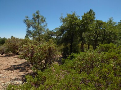 P1130576