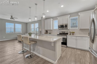 10793 White Diamond Point, Colorado Springs, CO 80908 - photo 2