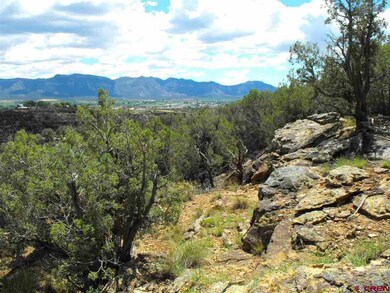 TBD Road J 3, Cortez, CO 81321 - photo 5