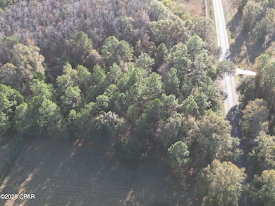 1555 Highway 177a, Bonifay, FL 32425 - photo 5