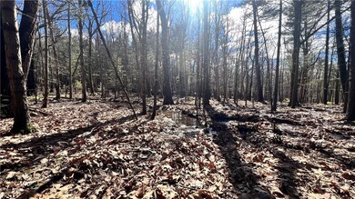 Lot 18.3 Treetops Trail, Mamakating, NY 12721 - photo 6
