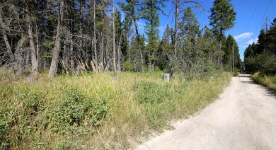 880 Bowdish Rd, Whitefish, MT 59937 - photo 6