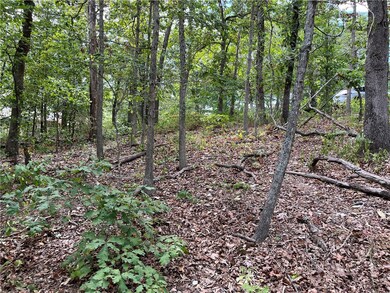 14 Oniell Ln unit 1228005, Bella Vista, AR 72715 - photo 2