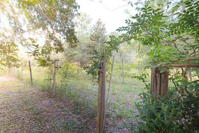 74 Revadee Spears Rd, Crawfordville, FL 32327 - photo 3